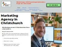 Website Screenshot Kingfisher Digital