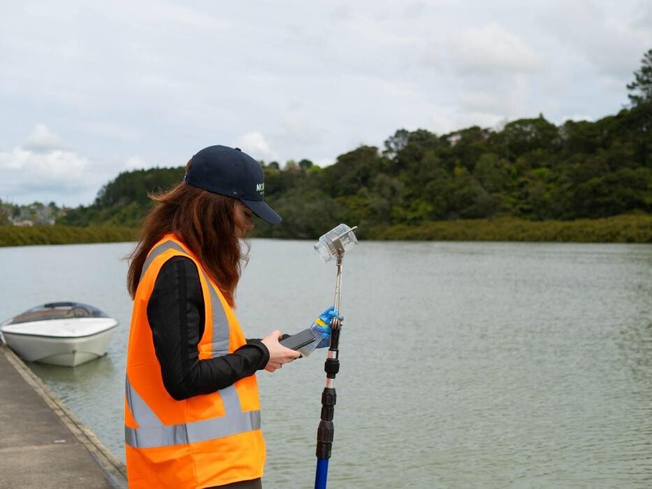 Images Morphum Environmental