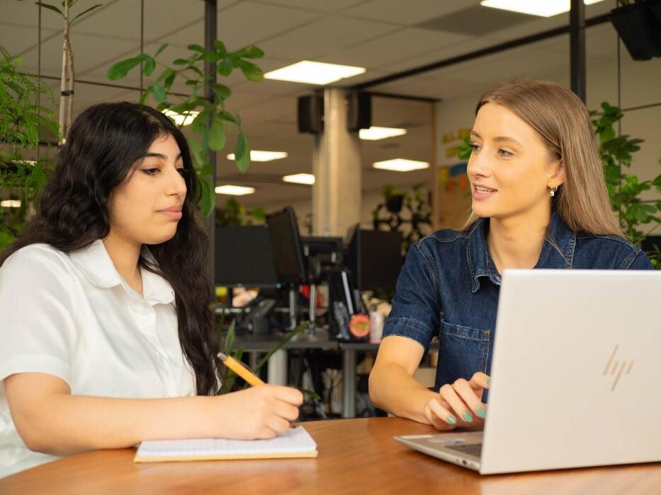 Images Morphum Environmental