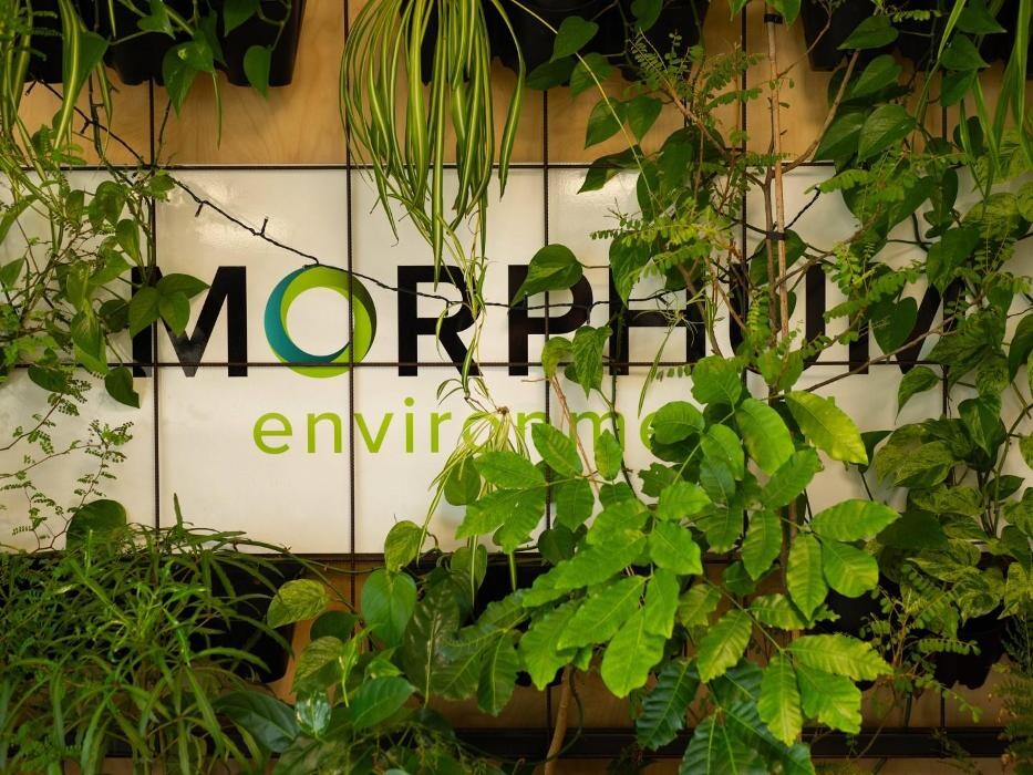 Images Morphum Environmental