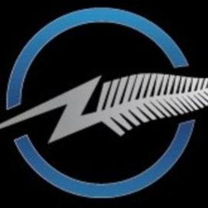 Silver Fern Electrical Logo