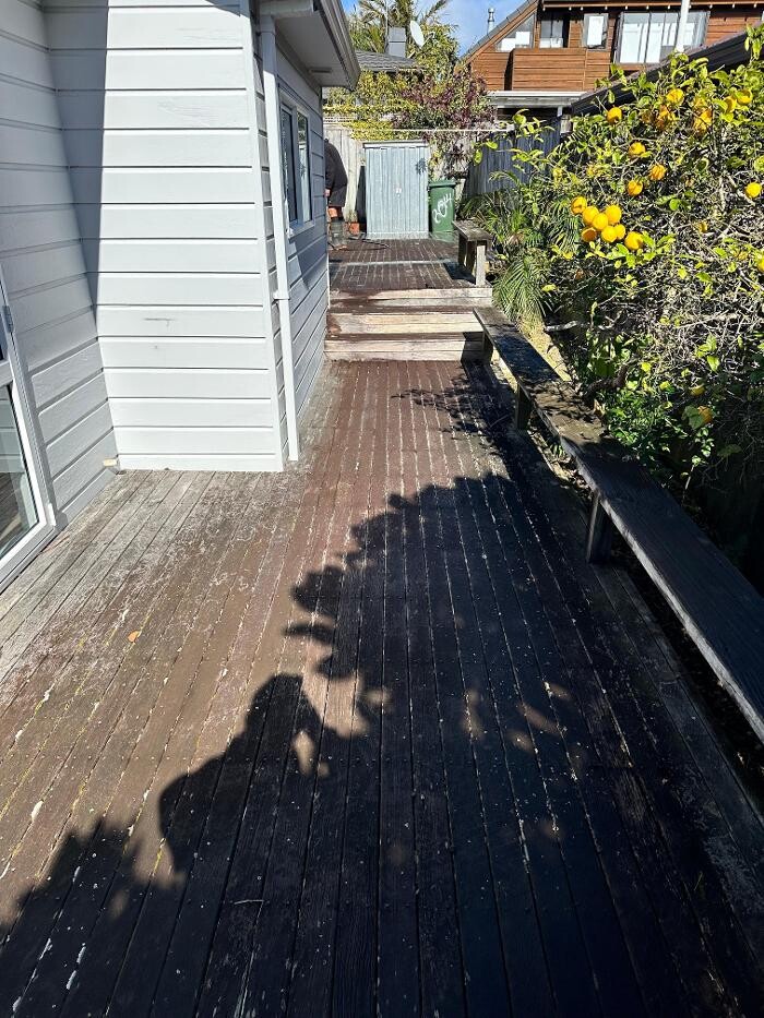 Images Frog Property Solutions | Property Maintenance & House Washing Auckland