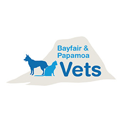 BayFair Vets Logo
