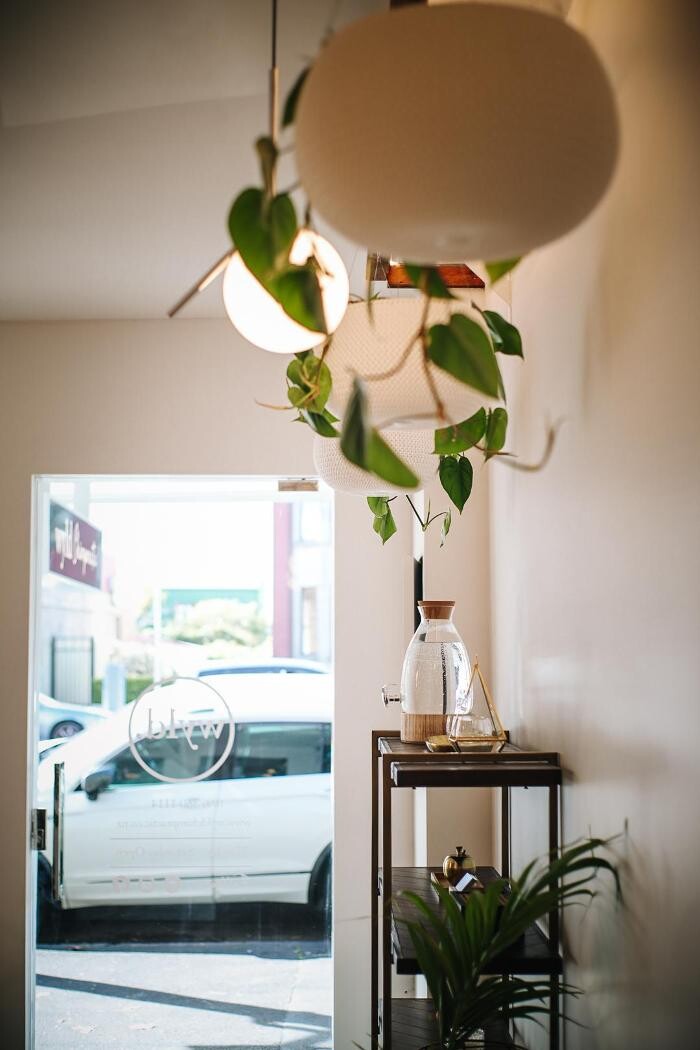 Images WYLD Ponsonby | Chiropractic, Physiotherapy & Massage