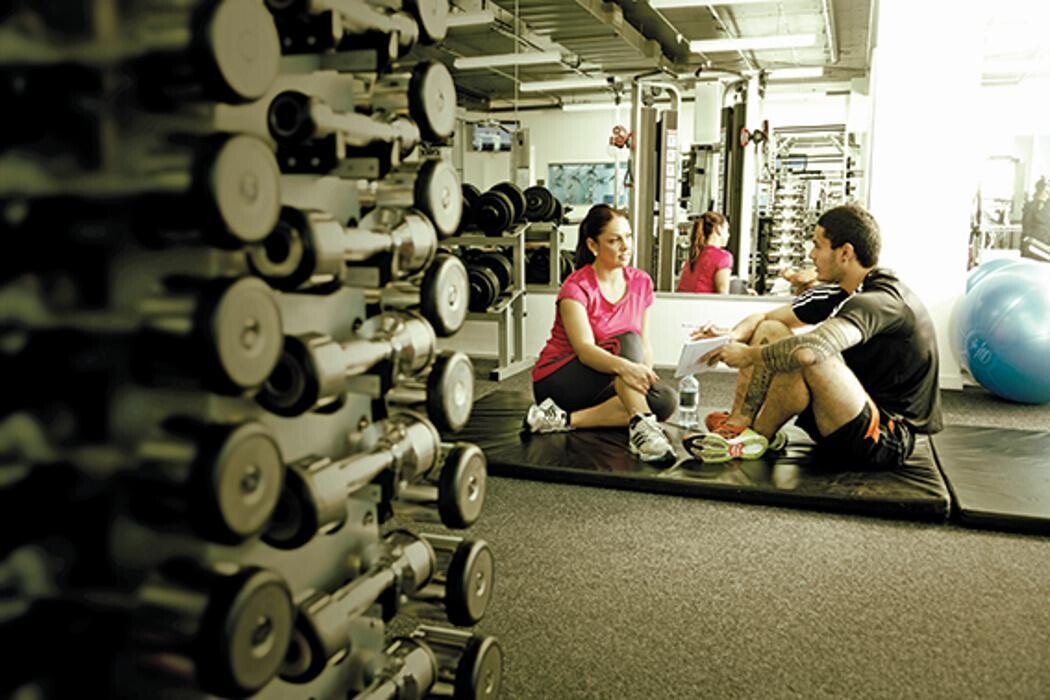 Images Habit Health Majestic