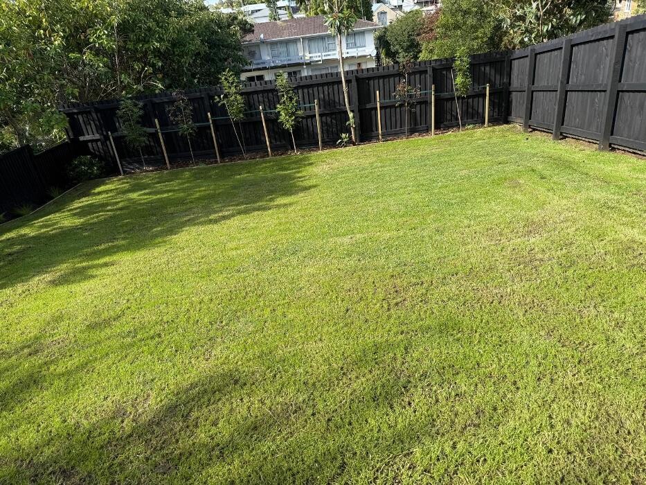 Images Sparkle Property Services - Cleaning Company Auckland