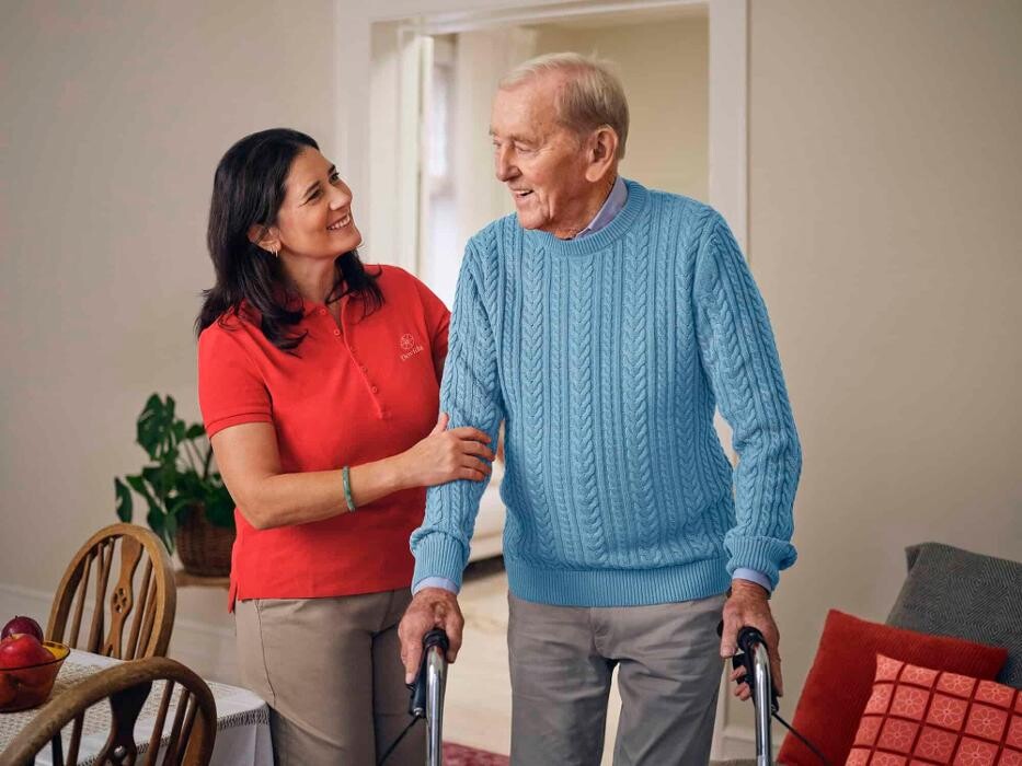 Images Dovida New Zealand