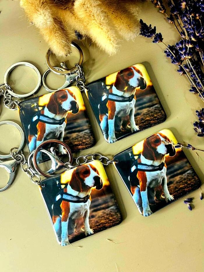 Images Magnetic Marvel NZ