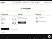 Website Screenshot Vivo Hair Salon Napier