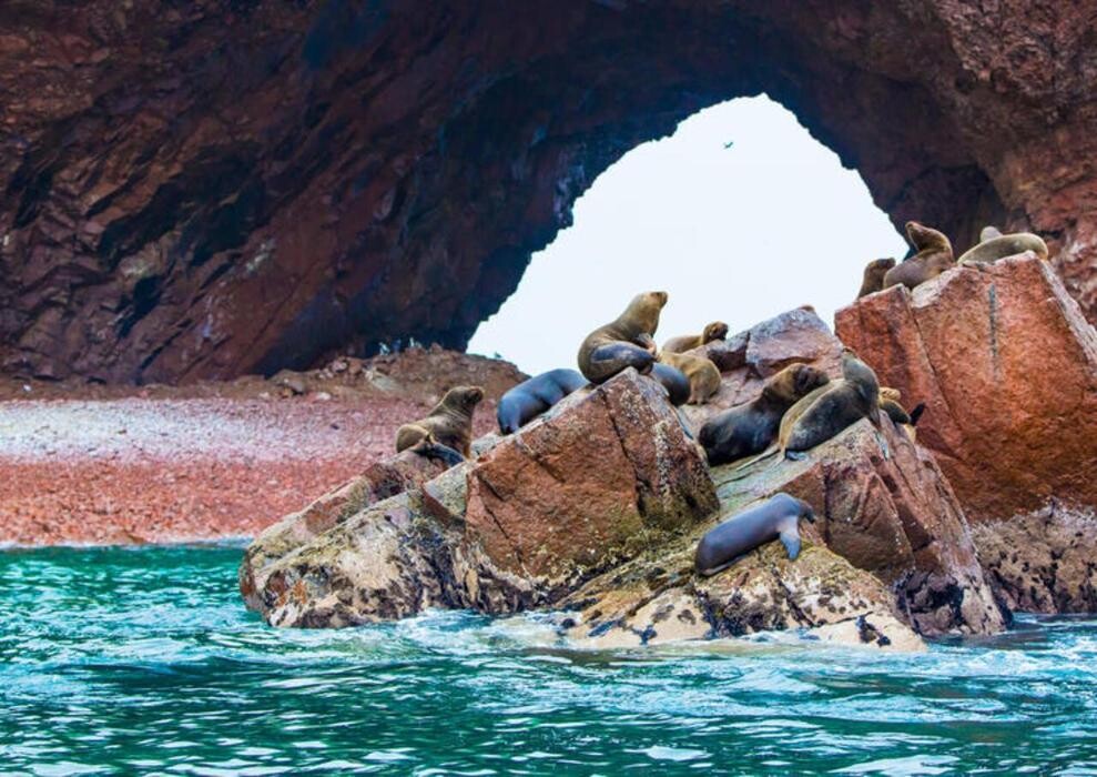 Images Destinos y Rumbos - Agencia de Turismo
