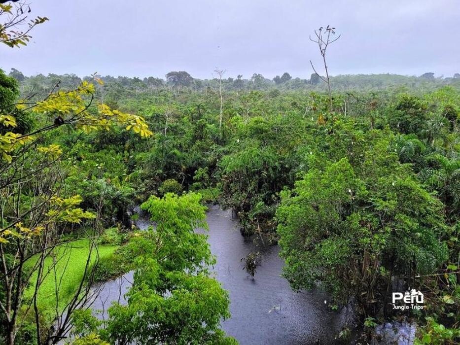 Images Peru Jungle Trips