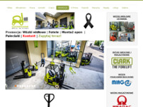 Screenshot for http://www.elektroprogram.com.pl