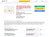 Website Screenshot Borinquen Title Loans