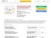 Website Screenshot Borinquen Title Loans