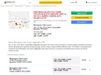 Website Screenshot Borinquen Title Loans