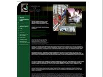 Website Screenshot Caribbean ICF Solutions CICFS, LLC