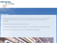 Peter Blomqvist VVS AB website screenshot