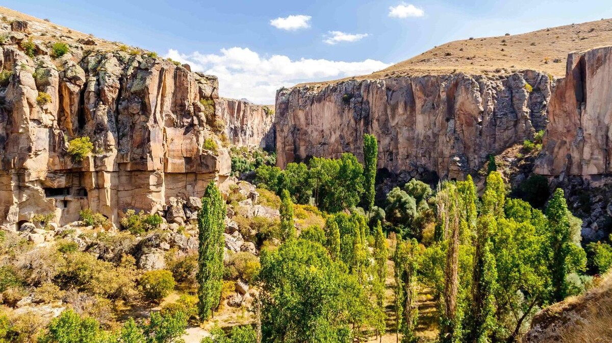Images Up Balloon Agency, Cappadocia