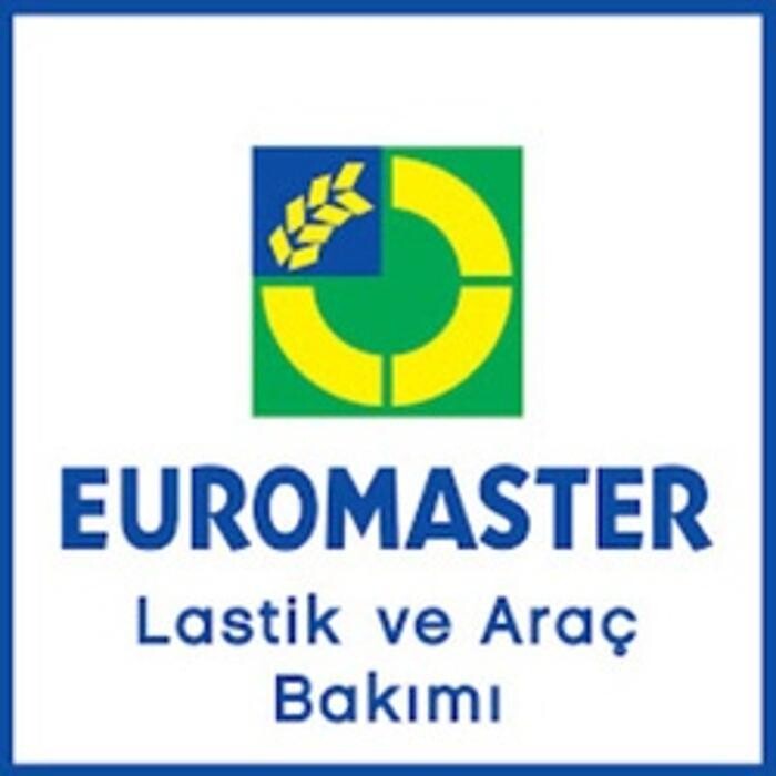 Michelin - Alfa Garage Euromaster Logo
