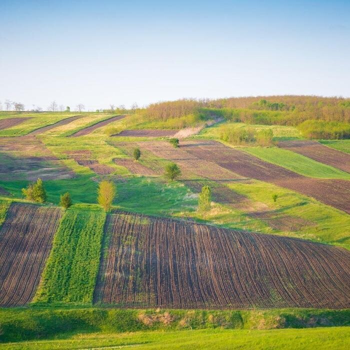 Images BAYKUŞ EMLAK OFİSİ I Payas Dörtyol İskenderun Emlakçı Ofisleri