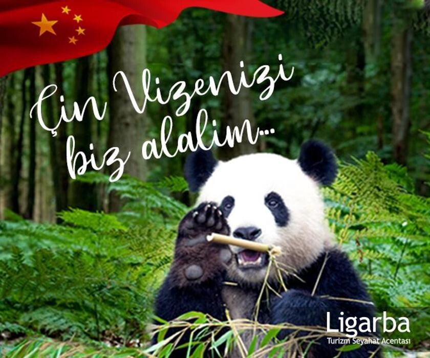 Images Ligarba Turizm Seyahat Acentası