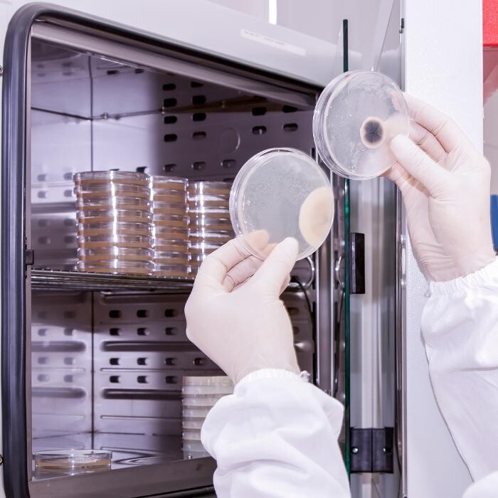 Images Art Laboratuvar Ekipmanları