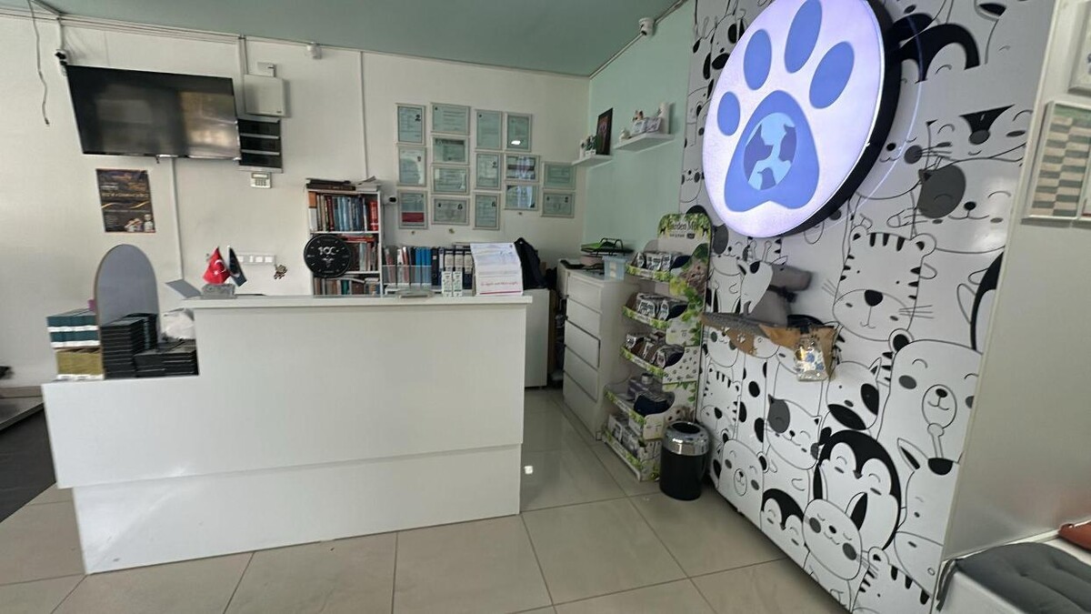 Images Zootopia Veteriner Kliniği