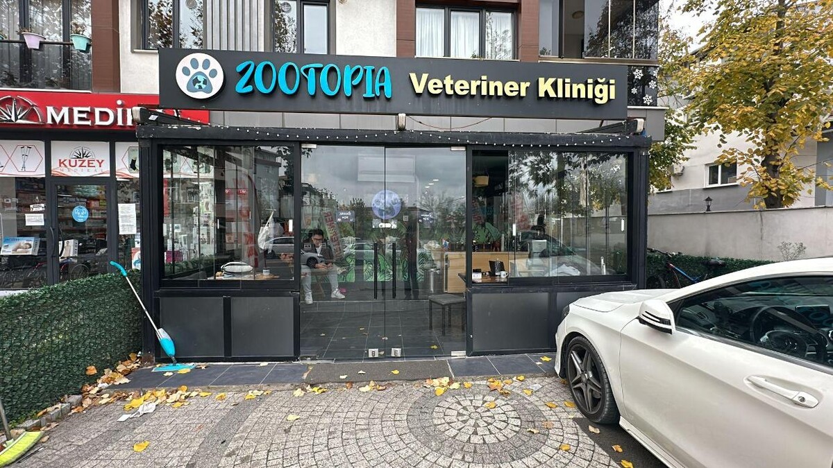 Images Zootopia Veteriner Kliniği