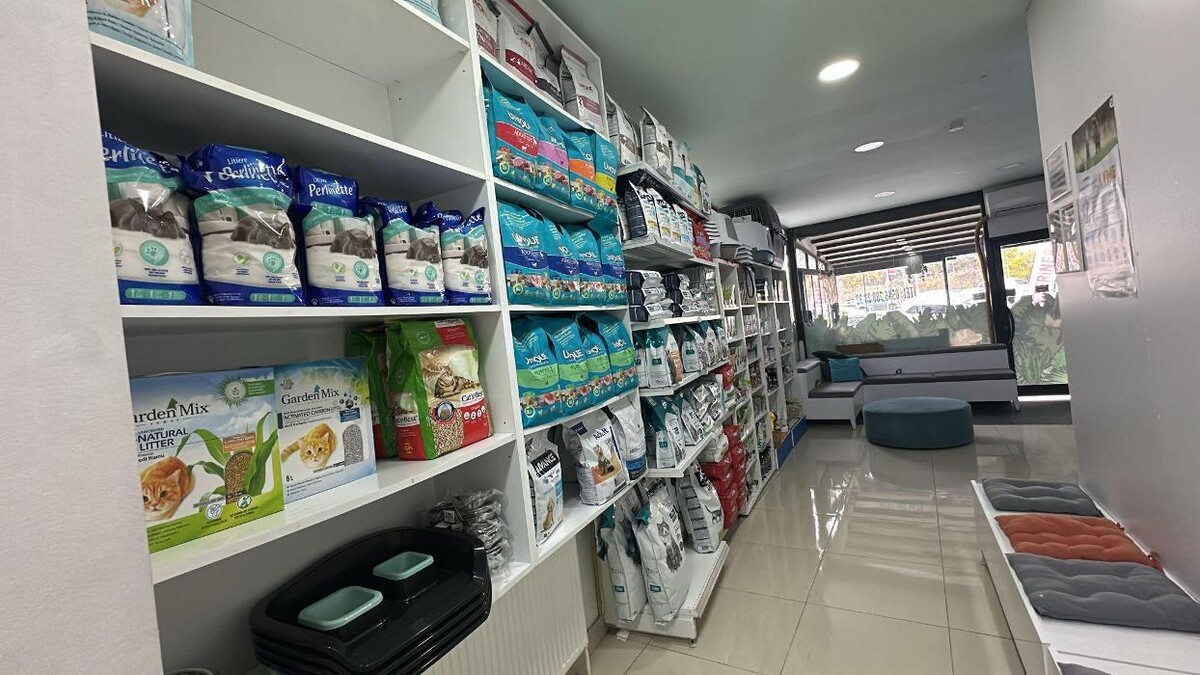 Images Zootopia Veteriner Kliniği