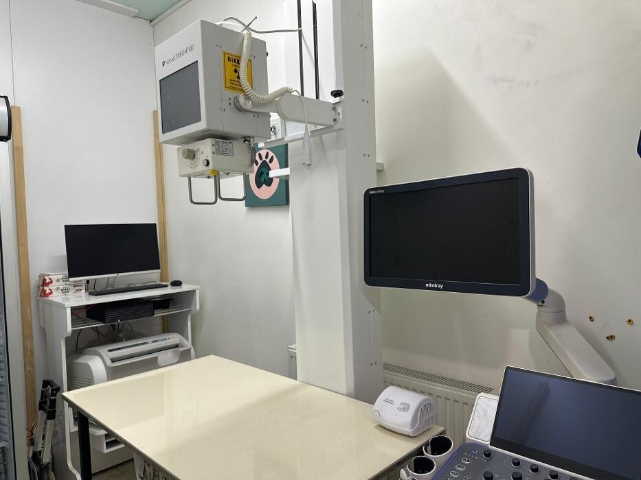 Images Zootopia Veteriner Kliniği