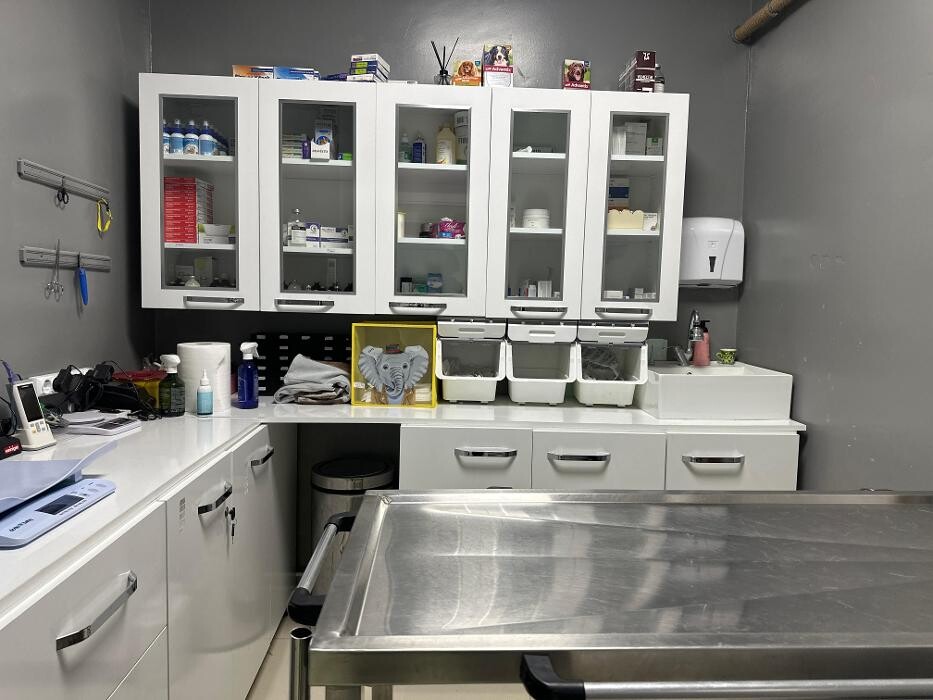 Images Zootopia Veteriner Kliniği