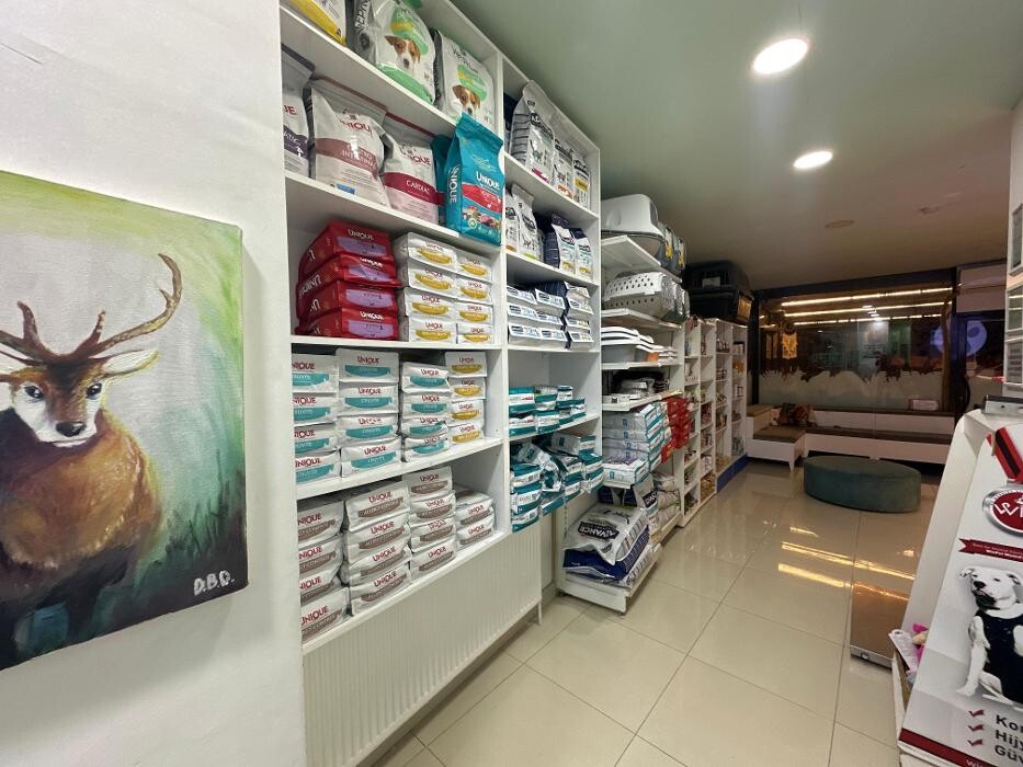 Images Zootopia Veteriner Kliniği