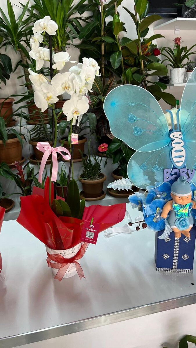 Images Saray Çiçek | Aksaray Çiçekci | Organizasyon