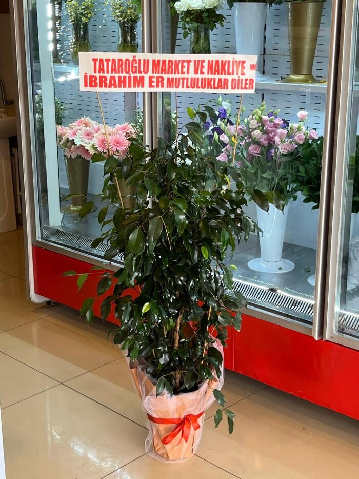 Images Saray Çiçek | Aksaray Çiçekci | Organizasyon