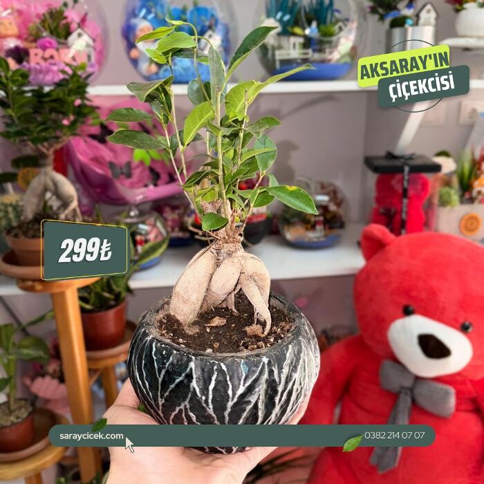 Images Saray Çiçek | Aksaray Çiçekci | Organizasyon