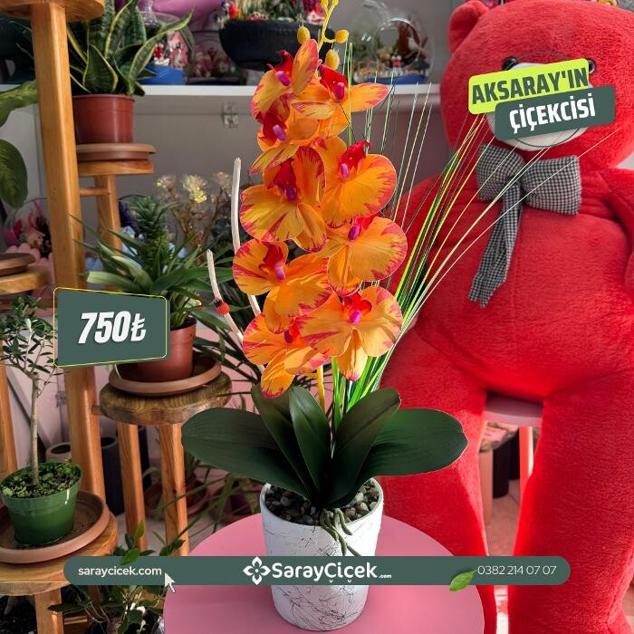 Images Saray Çiçek | Aksaray Çiçekci | Organizasyon