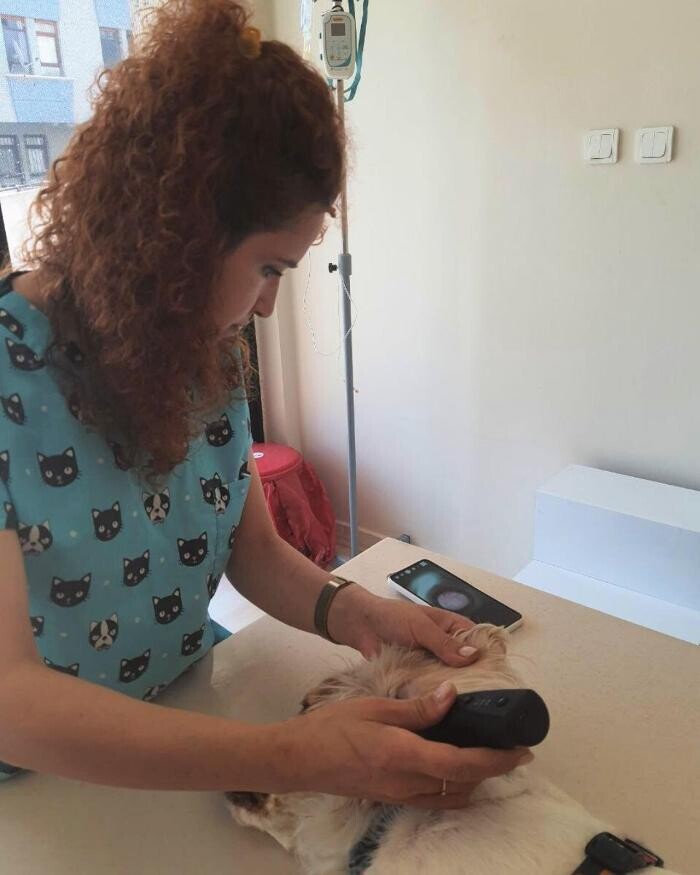 Images Vetes Veteriner Kliniği