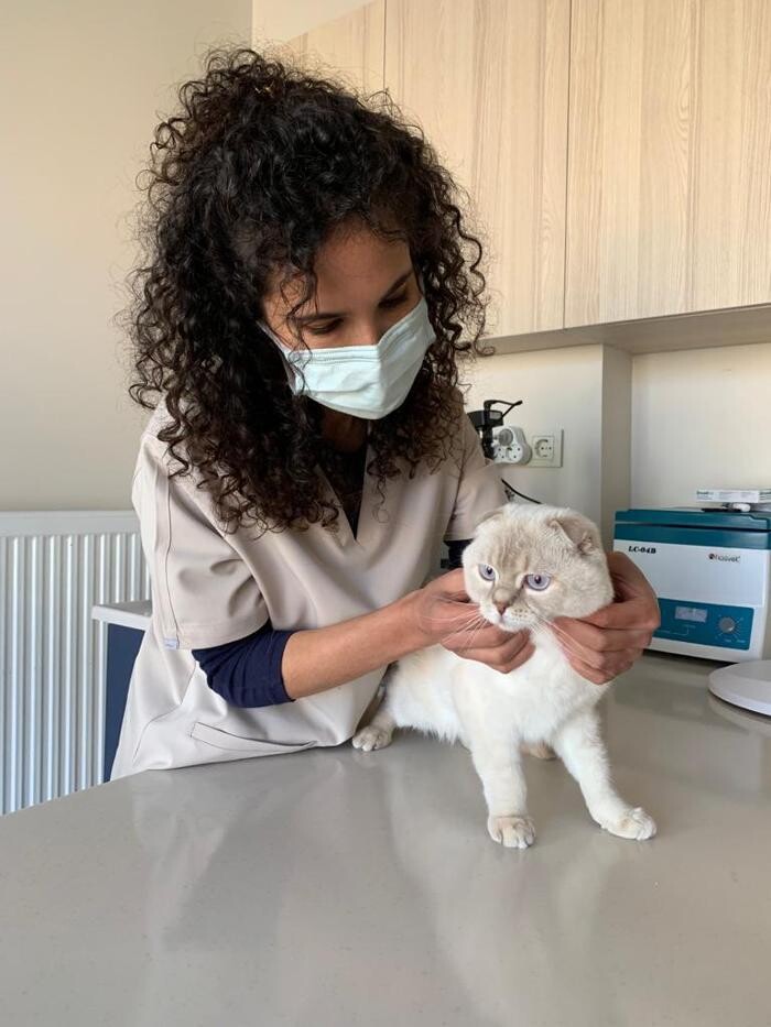 Images Vetes Veteriner Kliniği