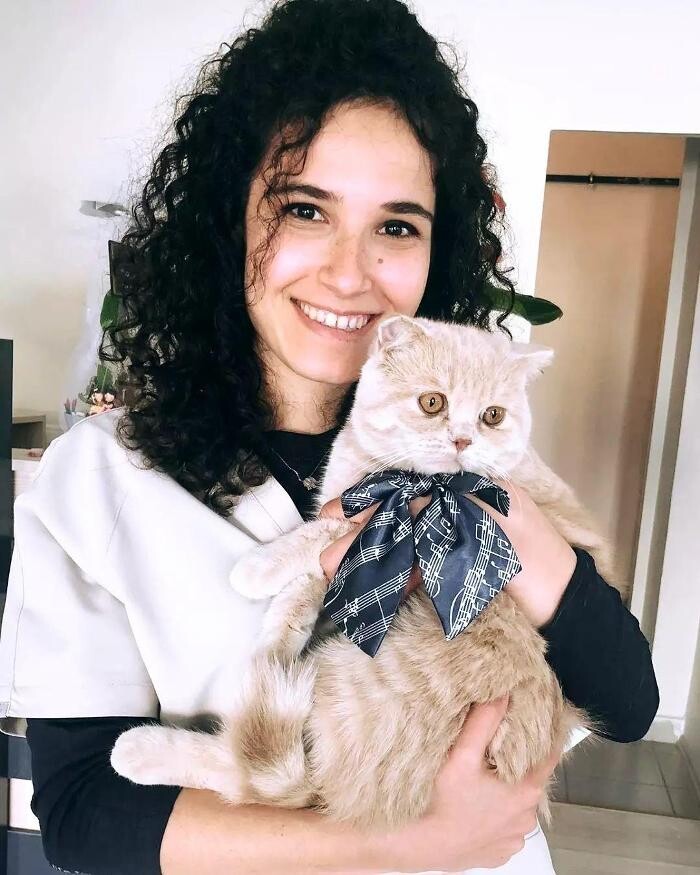 Images Vetes Veteriner Kliniği