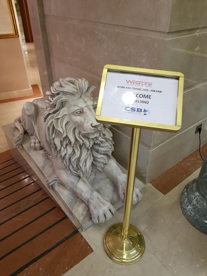 Images Westline International Yurt Dışı Eğitim Danışmanlığı