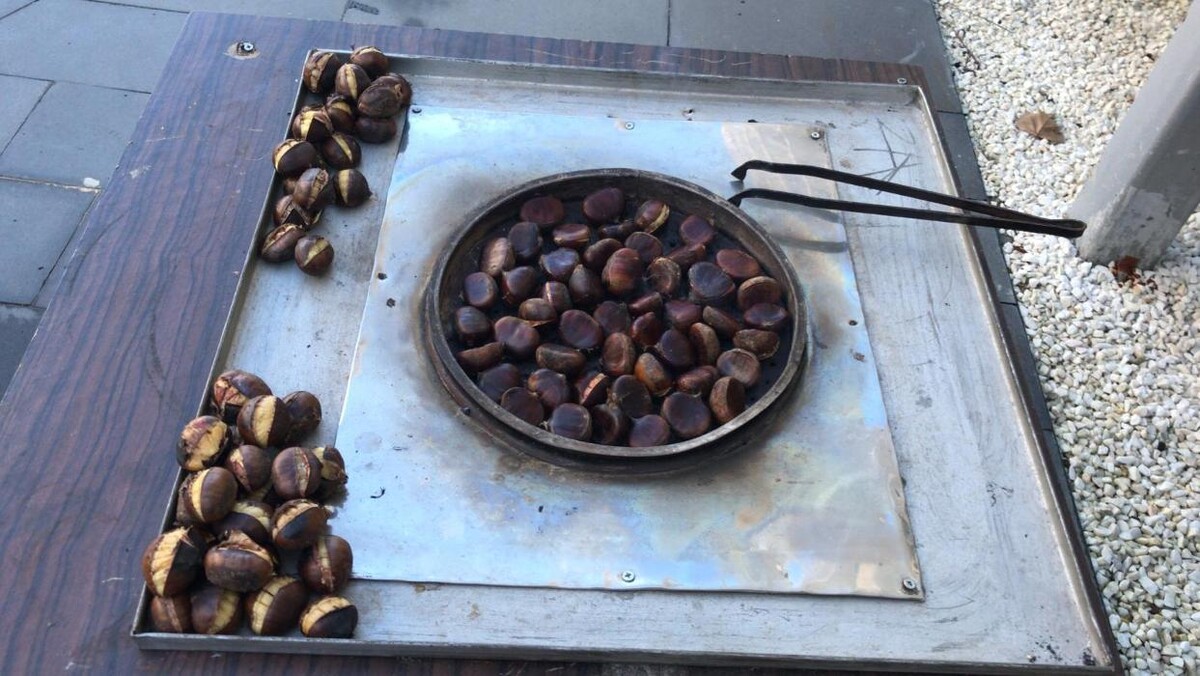 Images Yusuf Organizasyon | Sünnet Organizasyonu | Kına | Düğün | İkram Arabası