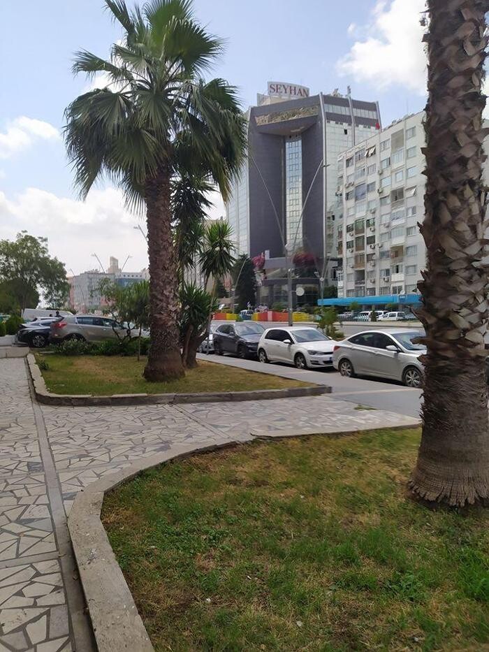 Images Adana Avukat Ceren Sümer Cilli | Adana Boşanma Avukatı