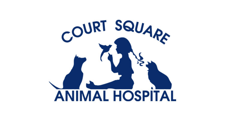 Court Square Animal Hospital Logo