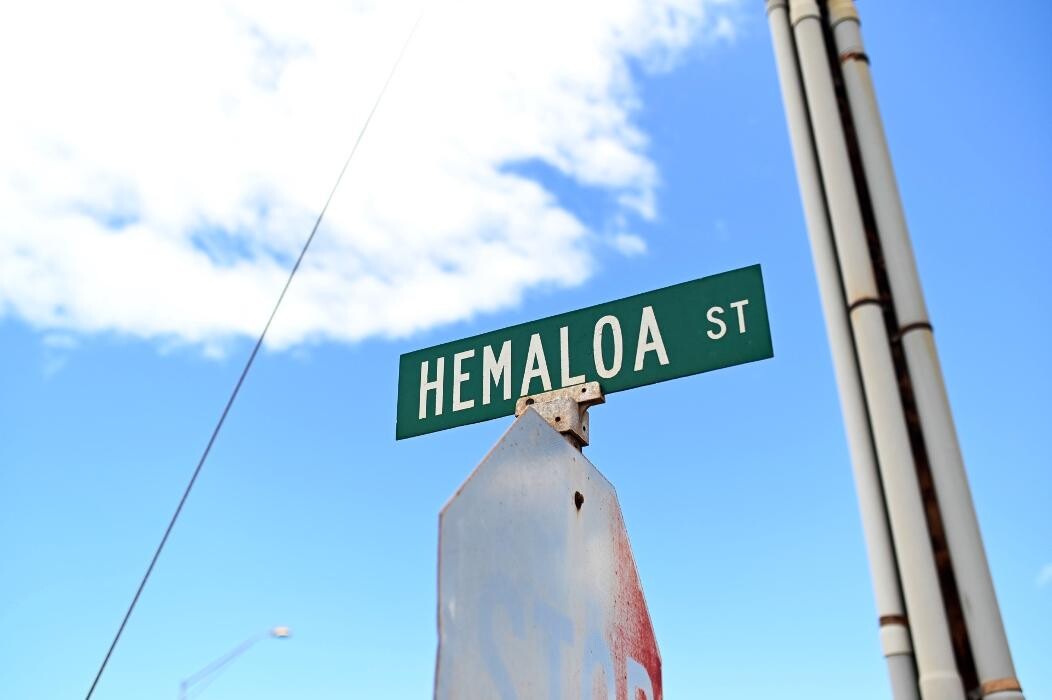 Images Avis Car Rental