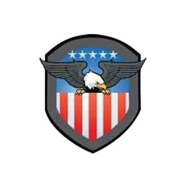 America Insurance Logo