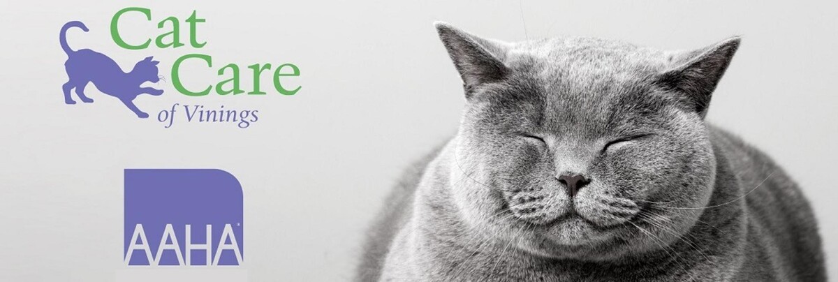 Images Cat Care of Vinings