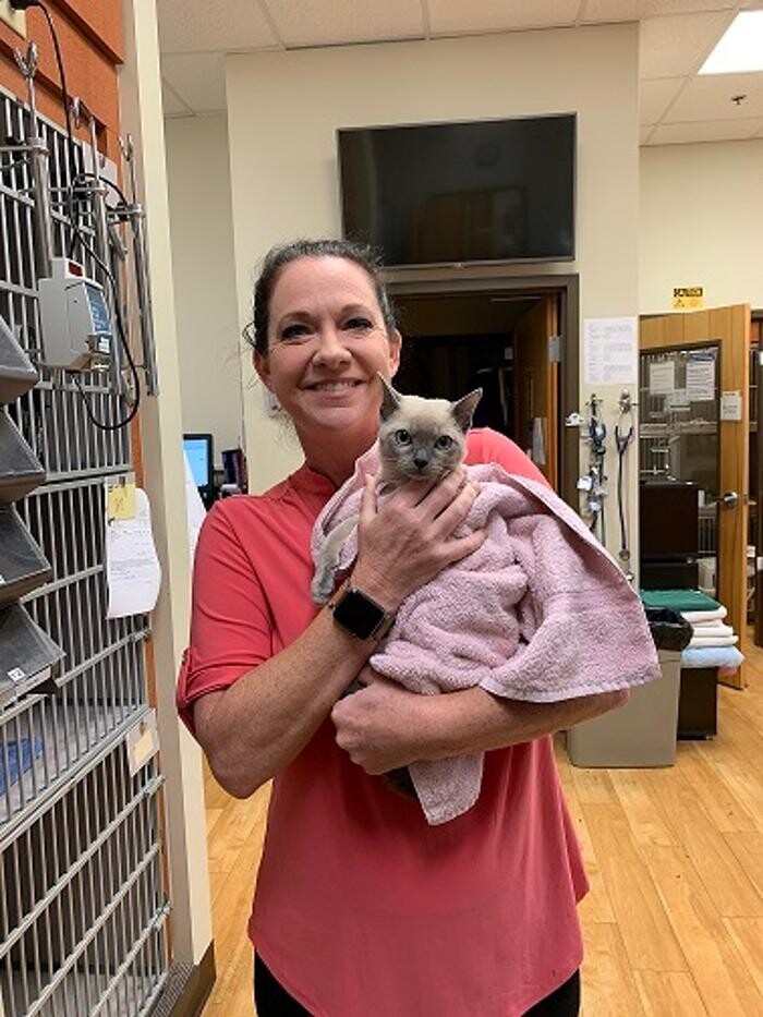 Images Cat Care of Vinings