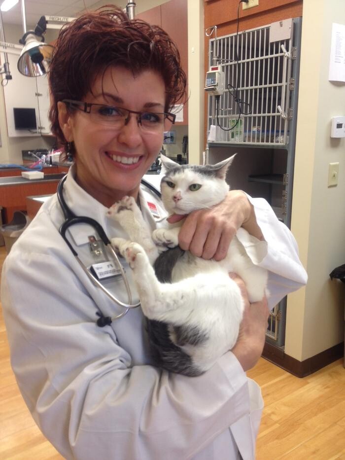 Images Cat Care of Vinings