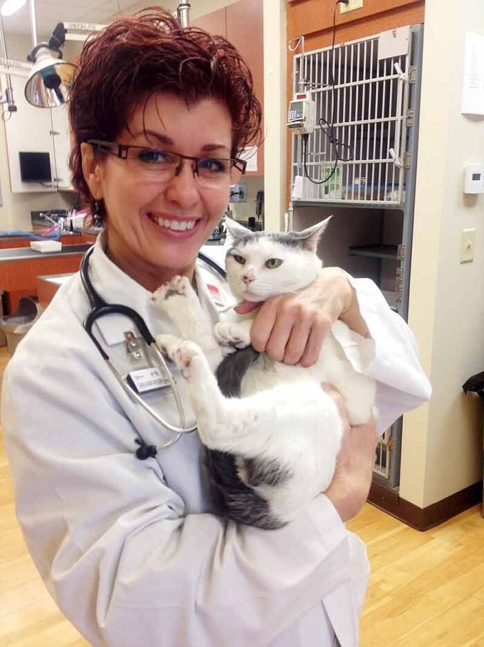 Images Cat Care of Vinings