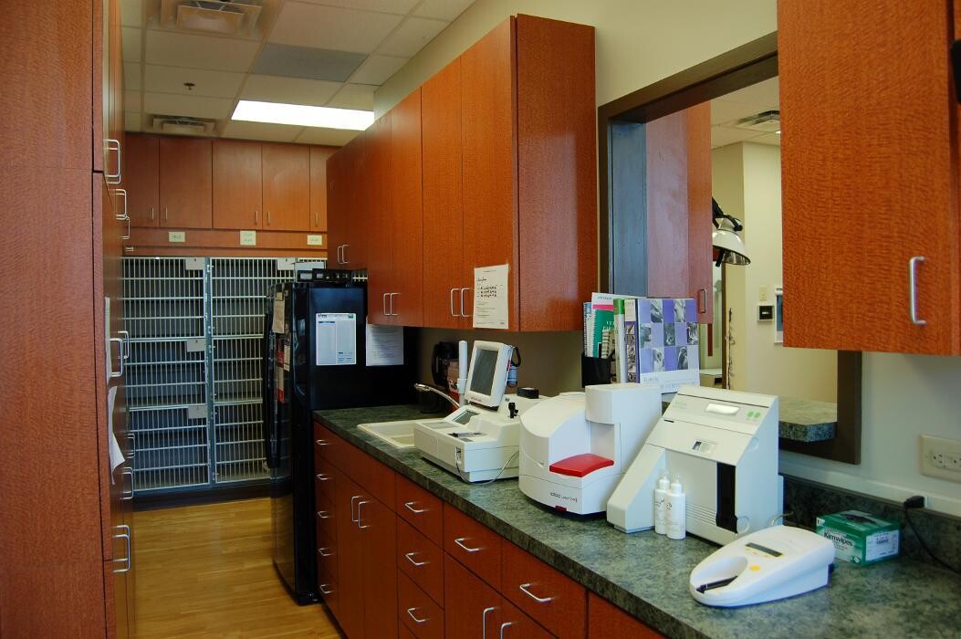 Images Cat Care of Vinings